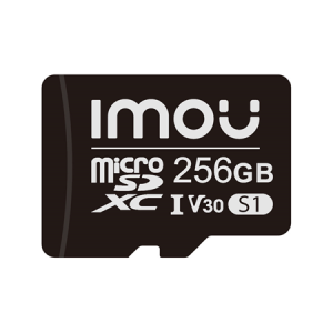 256 GB Micro SD ST2-256-S1