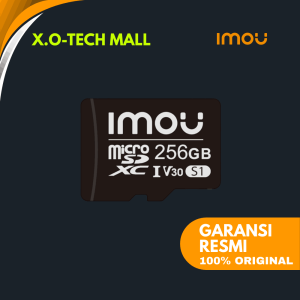 256 GB Micro SD ST2-256-S1