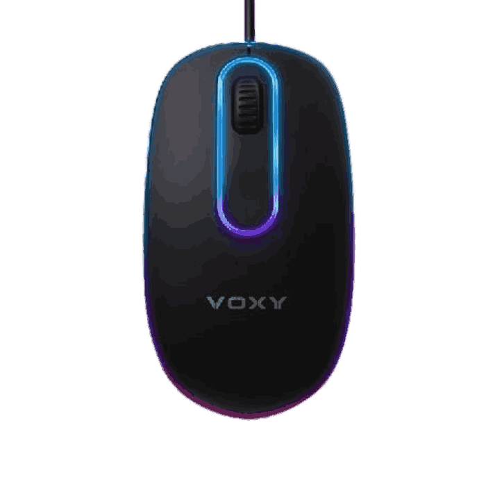 Voxy